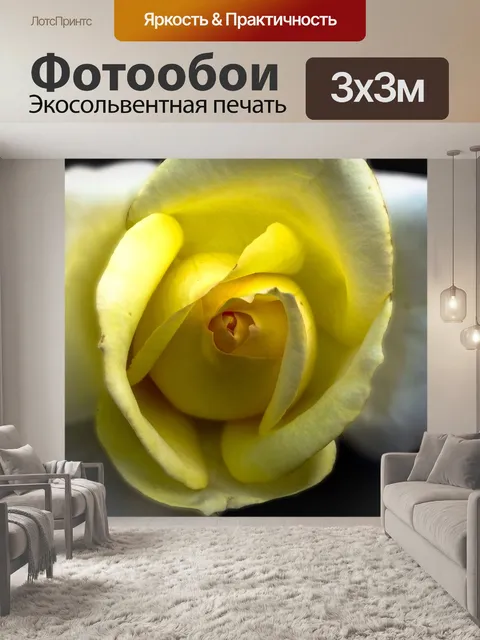Фотообои Цветок