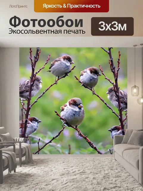 Фотообои Птицы