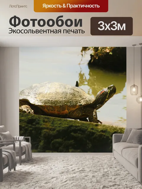 Фотообои Turtle in the lake