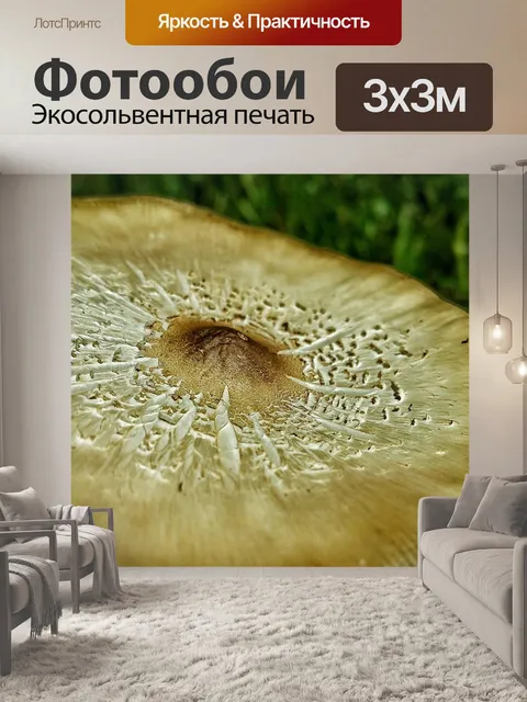 Фотообои Гриб