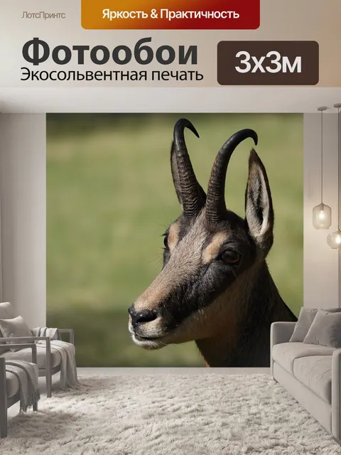 Фотообои Замша