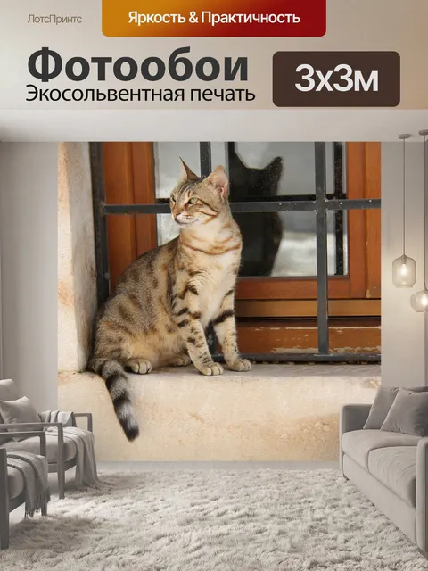Фотообои Кошка