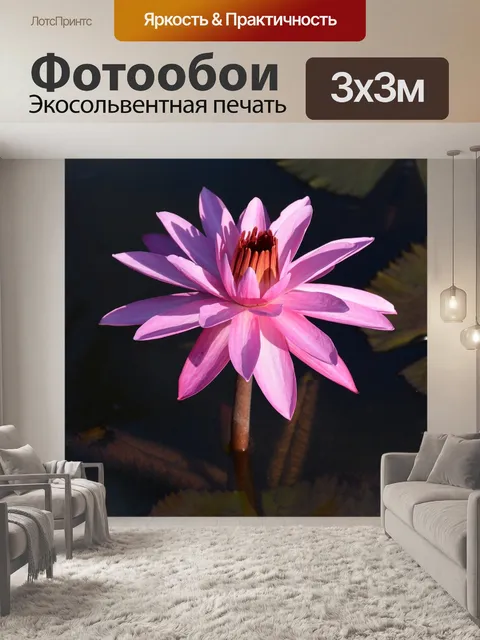 Фотообои Водяная лилия