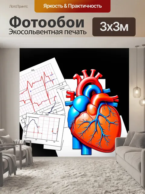 Фотообои сцена в стиле научной иллюстрации с изображением анатомии сердца