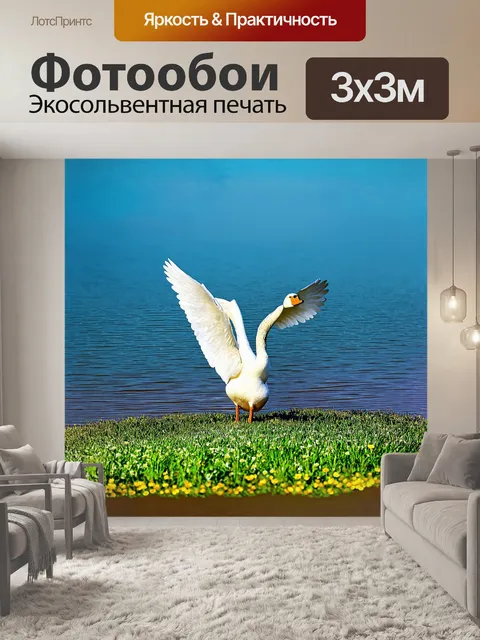 Фотообои белый гусь, склонивший шею, исследует зеленую траву на берегу озера, в облаках ряби отражаются яркие цветы