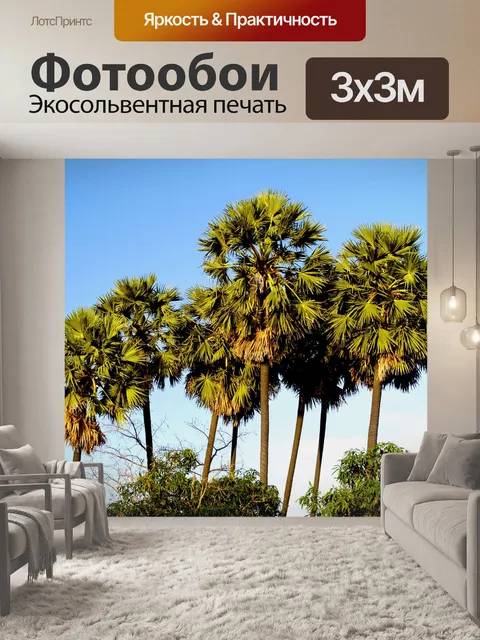 Фотообои пальмы
