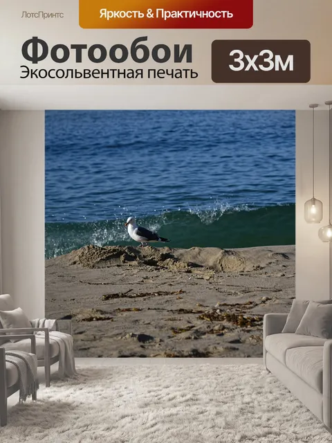 Фотообои Чайка, песок и волна