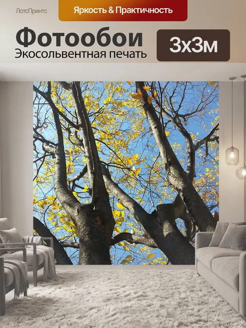Фотообои Дерево