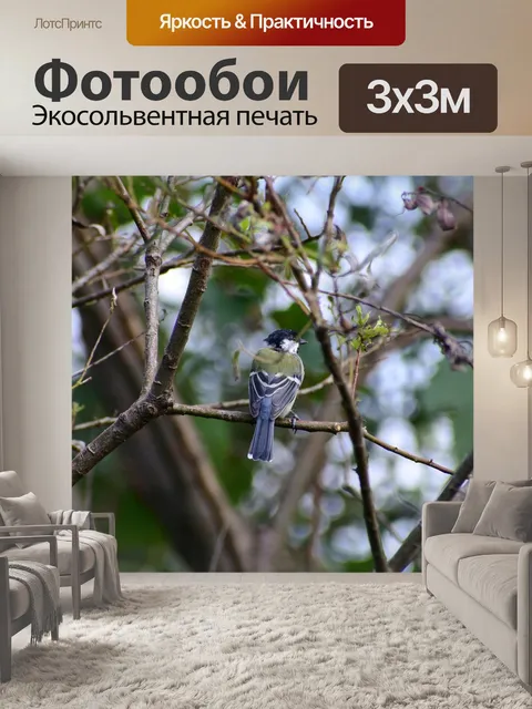 Фотообои Животное