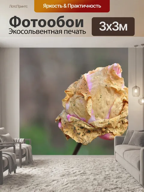 Фотообои Розы