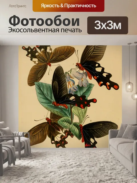 Фотообои Бабочки Винтажное Искусство