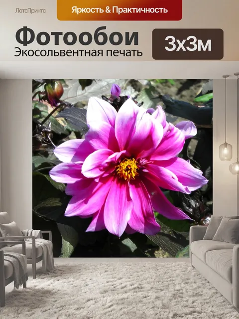 Фотообои Утро Сиреневый цветок