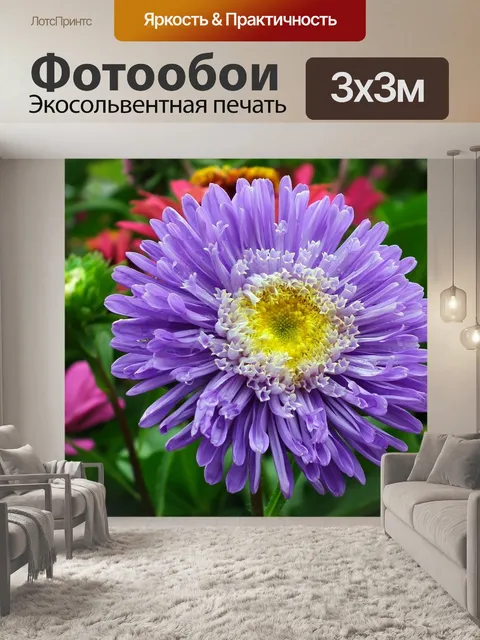Фотообои Цветок