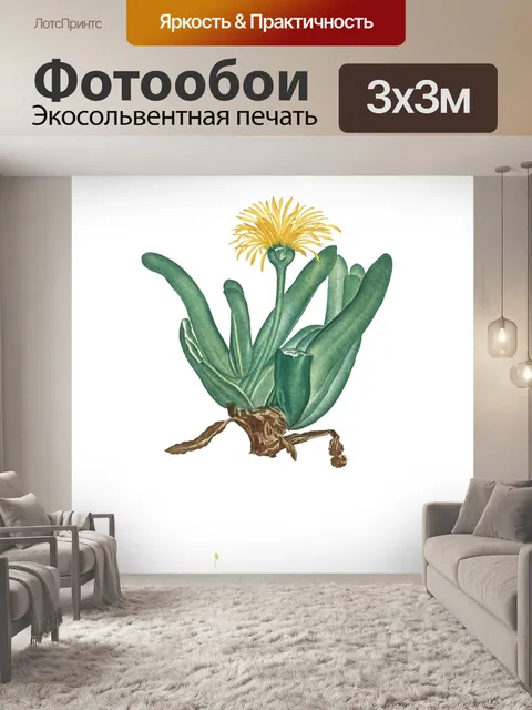 Фотообои Винтажная цветочная иллюстрация