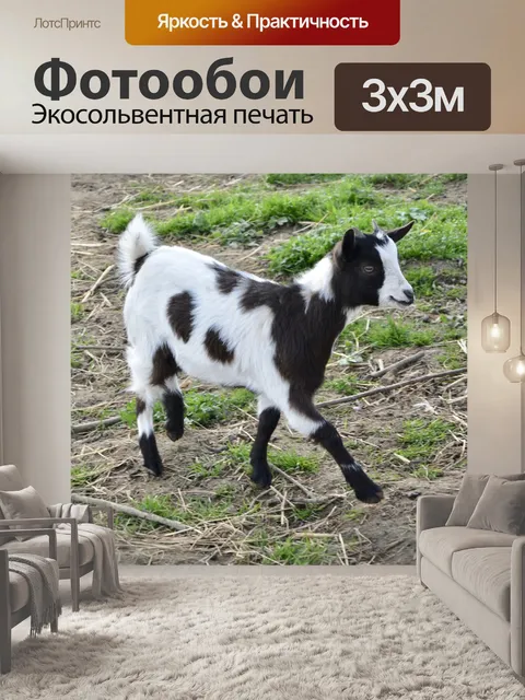 Фотообои Коза, черно-белая