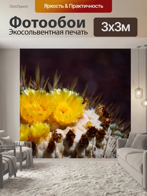 Фотообои цветущий кактус