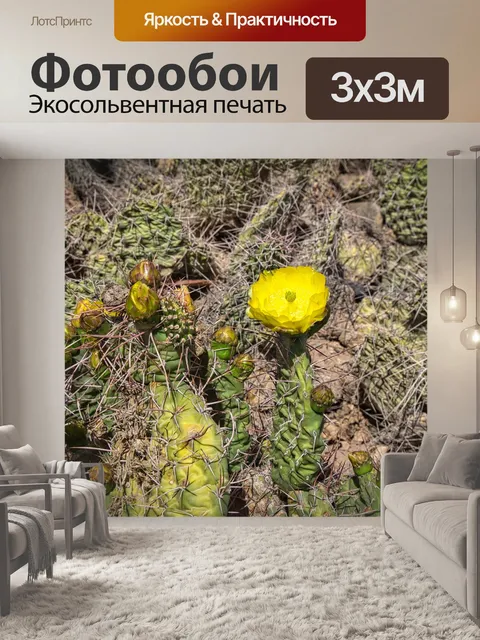 Фотообои Аргентина