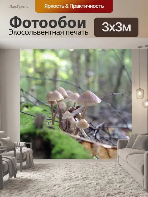 Фотообои Лес
