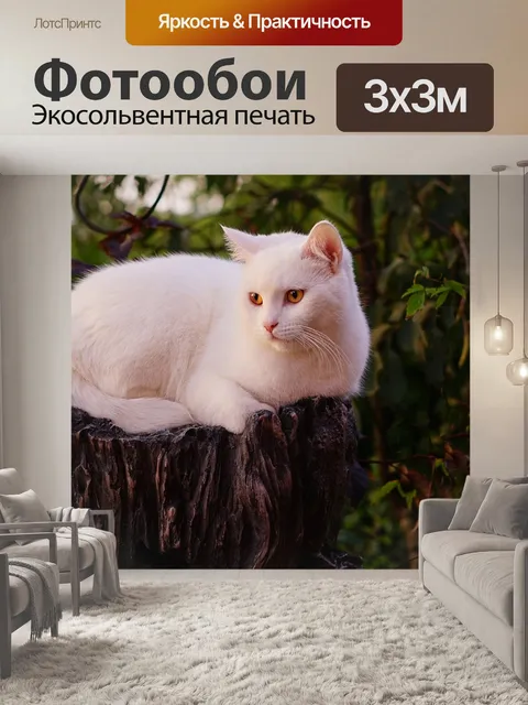 Фотообои Белый кот