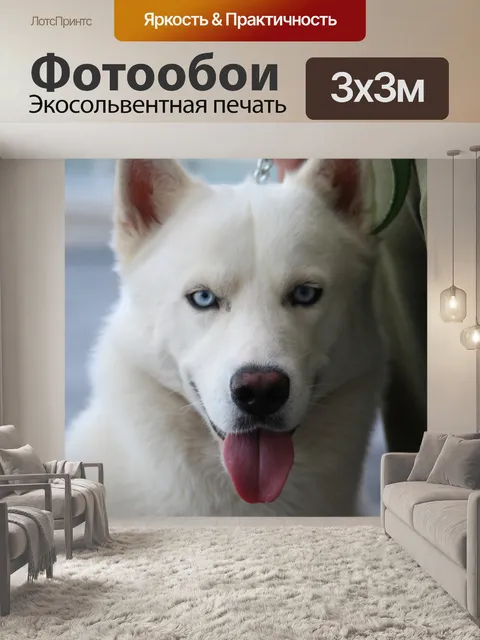 Фотообои Белый мех