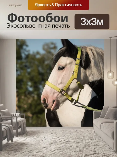 Фотообои Возиться