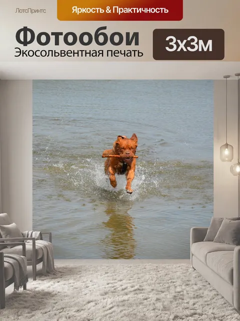 Фотообои Мутной воде 9