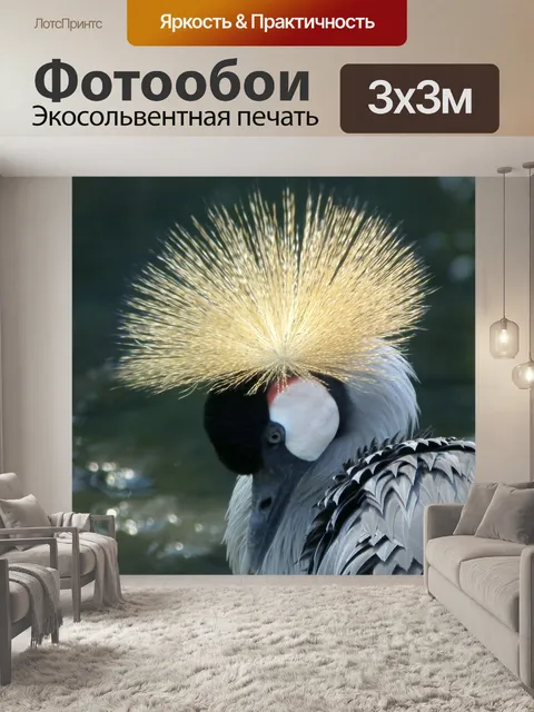 Фотообои Увенчанный