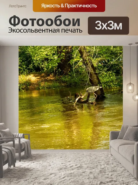 Фотообои Цапля ловит рыбу