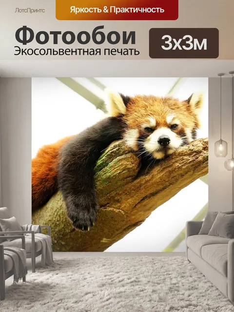 Фотообои Животное