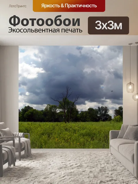 Фотообои Поле от сорняков и деревьев