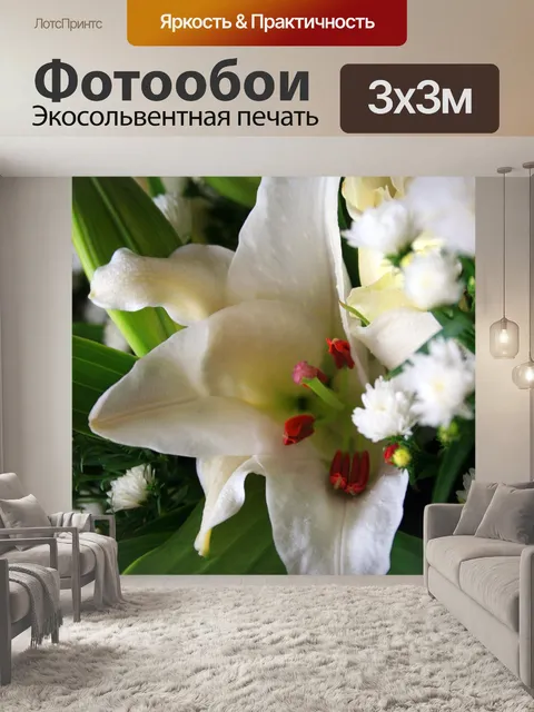 Фотообои белая лилия