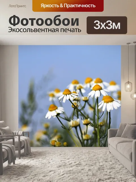 Фотообои Ромашка