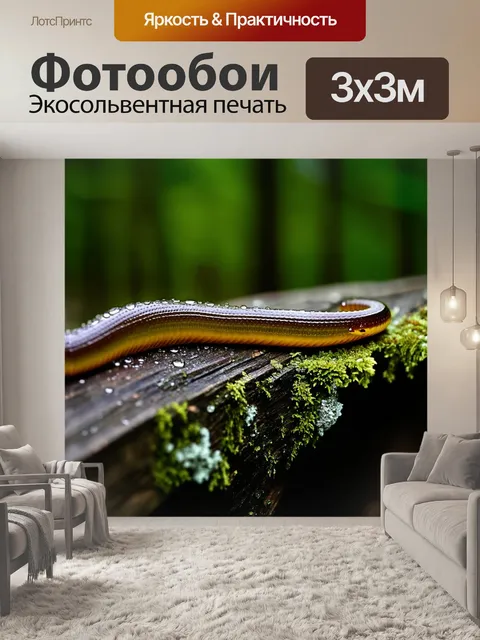 Фотообои пиявка, медленно ползущая по влажной поверхности старой древесины, покрытой мхом и лишайниками