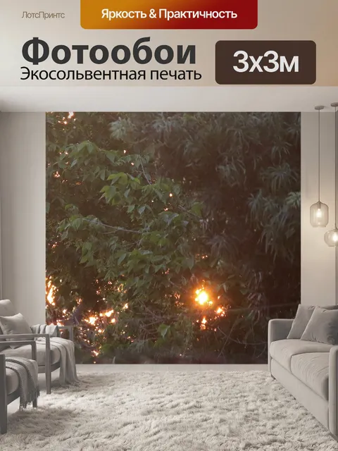 Фотообои оранжевые солнечные лучи в листьях