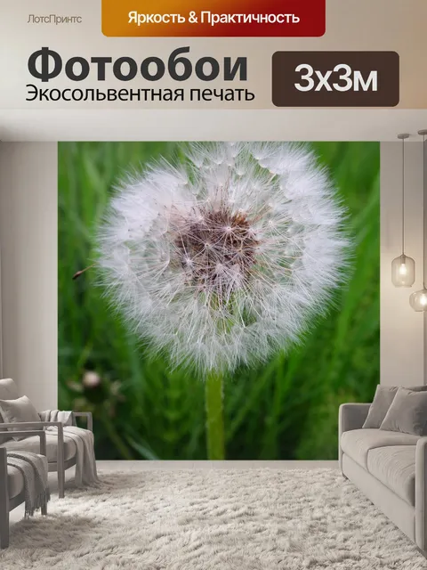 Фотообои Одуванчик семена