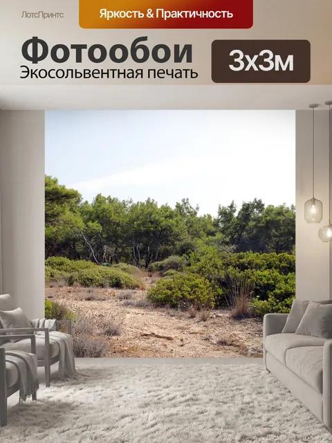 Фотообои Лес