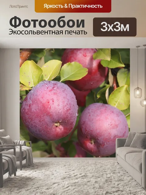 Фотообои Яблоко