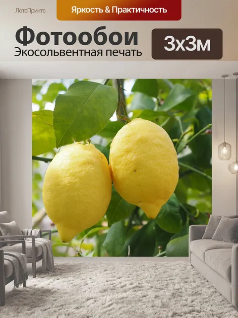 Фотообои Лимон