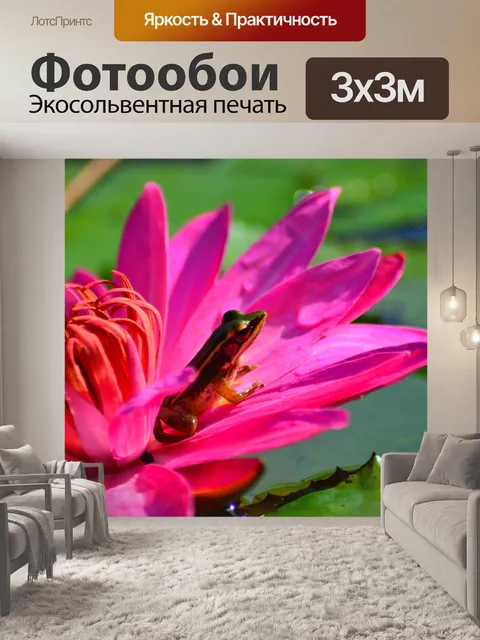 Фотообои Сидя