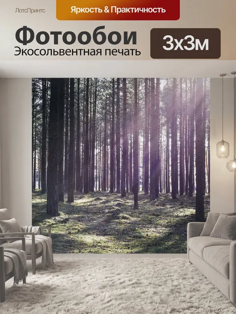 Фотообои Лучи солнца
