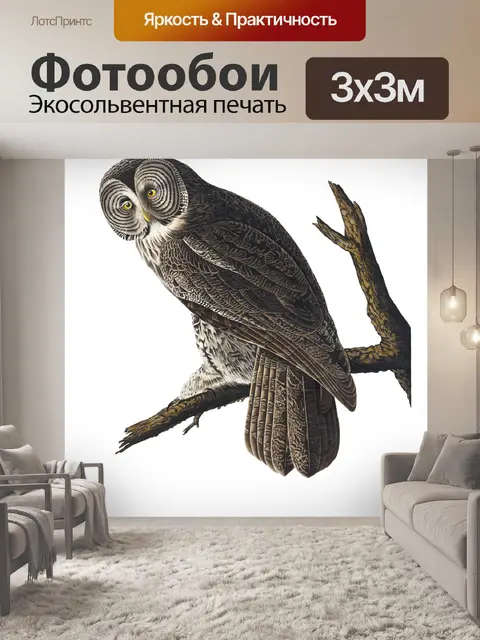 Фотообои Сова Винтаж клипарт наклейки