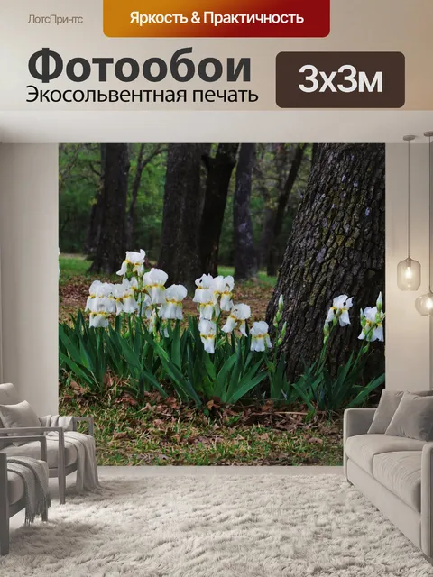 Фотообои Белые цветы ириса на деревьях