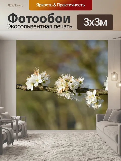 Фотообои Ветку куста с цветами