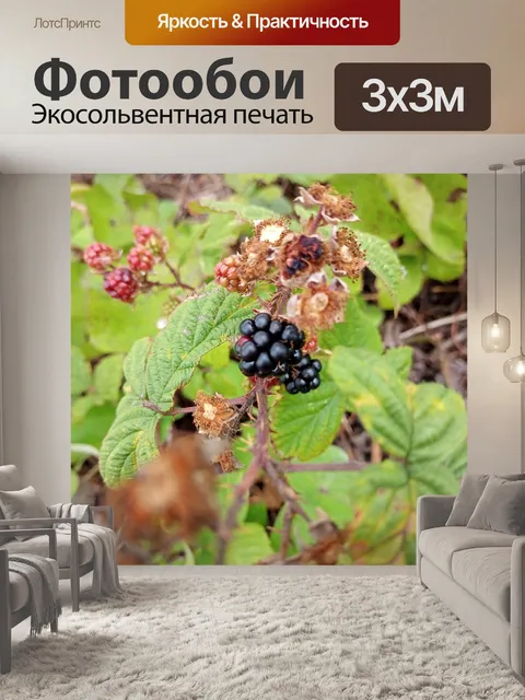 Фотообои растительная жизнь