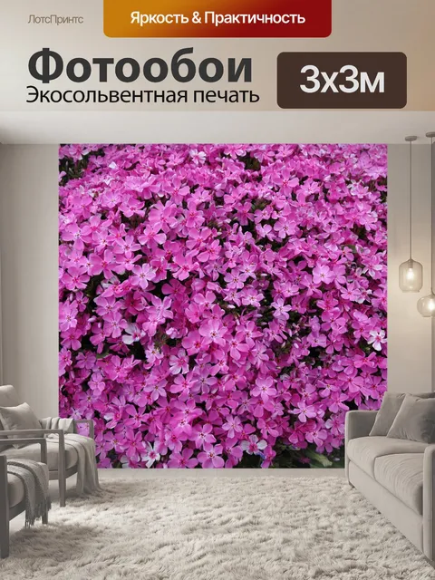 Фотообои Флокс