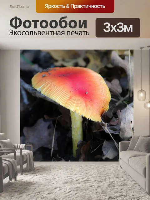 Фотообои Оранжевый Мухомор Гриб в Листьях 2