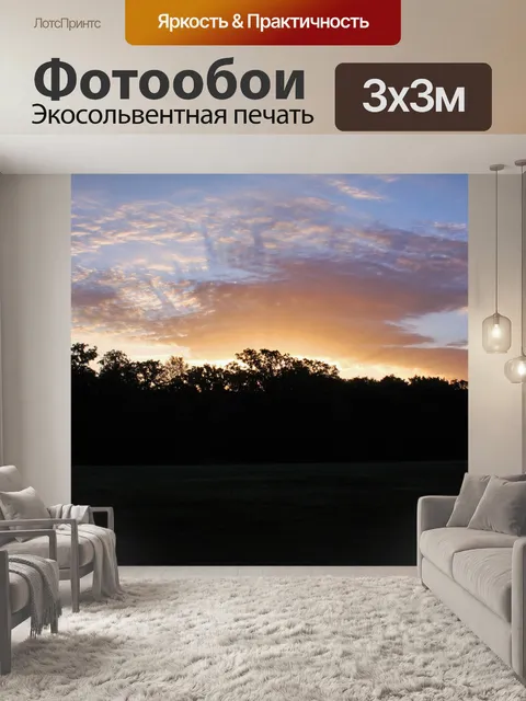 Фотообои Радиант Восход солнца над деревьями