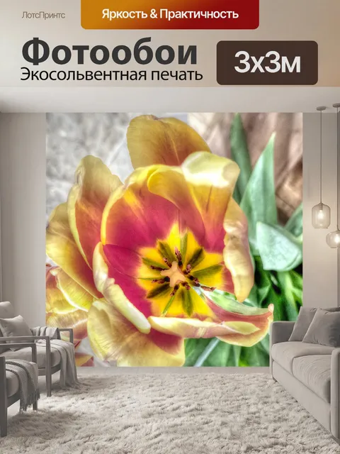Фотообои Центр тюльпанов