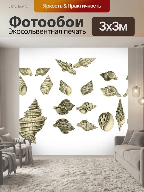 Фотообои Ракушки Морская Ракушка Клипарт Винтаж