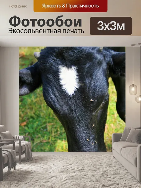 Фотообои Глава черной икры